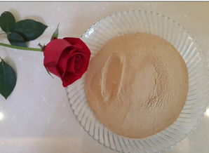 廠(chǎng)家直供優(yōu)質(zhì)啤酒酵母粉 水產(chǎn)養(yǎng)殖與動(dòng)物飼料的天然營(yíng)養(yǎng)選擇