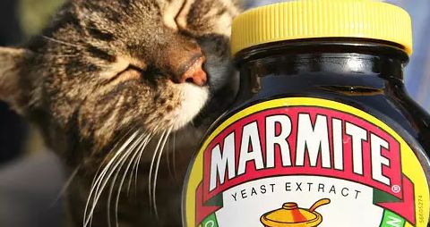 餐飲業(yè)戰(zhàn)“疫”新動(dòng)向 海底撈精釀線(xiàn)下擴(kuò)張，BrewDog跨界酵母醬，行業(yè)自救各顯神通